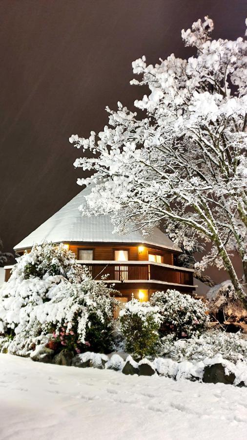 อัลไพน์ลอดจ์โมเต็ล แฮนเมอร์สปริงส์ ภายนอก รูปภาพ